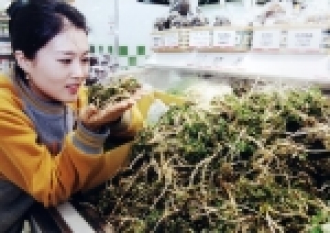 삼성테스코 홈플러스는 3월 8일(목)부터 3월 21일(수)까지  14일간 전점에서 “봄나물 모음전”행사를 마련한다.