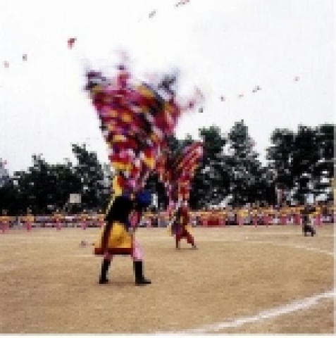 여원무(外)와 화관무(內) 