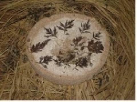 발효가 끝난 누룩