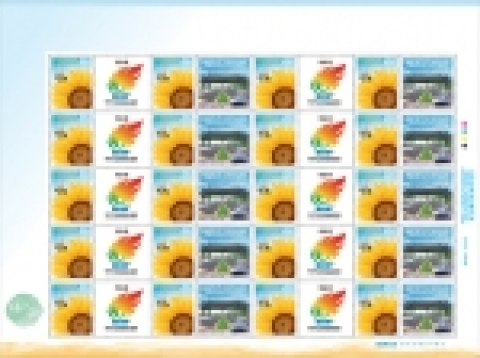 해바라기-기본형