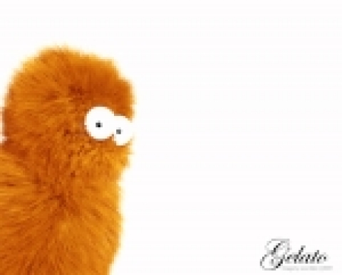 엔비디아 젤라토 2.1 필름 렌더링 소프트웨어는 조 알터(Joe Alter)의 쉐이브 앤 헤어컷 소프트웨어를 이용한 머리카락과 털의 CG 렌더링을 지원하고 있습니다. (조 알터 제