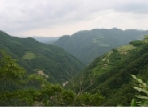 어풍대 가는 길에서 바라보는 청량산 