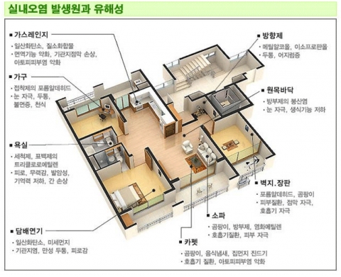새집, 새가구증후군 발생지역 및 유해성