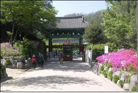 관악구 관악산진입로 철쭉