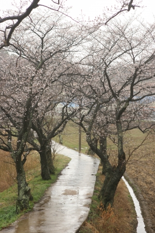 함벽정 가는 길(사진-이신화)
