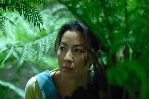 양자경