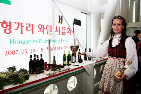 와인페스티벌 첫째날(29일) 서울역 ‘KTX패밀리라운지’에서 헝가리 민속의상을 입은 여인이 헝가리와인을 자랑하고 있다