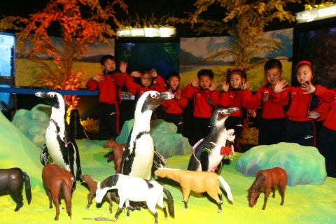 2일 부산 아쿠아리움에서는 한라산 백록담 및 조랑말이 재현된 제주도의 봄과 더불어 봄나들이 나온 펭귄가족들이 어린이 관람객들의 눈길을 한눈에 사로잡았다. 이외에도 교과서관에서는 물