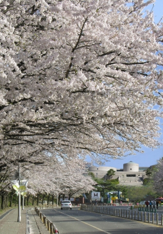 국립현대미술관, 새봄맞이 ‘꽃바람음악회’ 개최