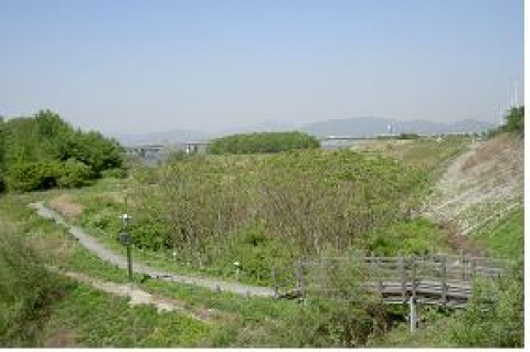 고덕수변 생태복원지 전경