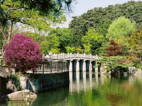 경내 연못주변 전경