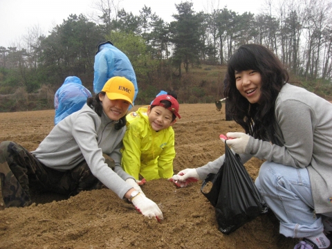 한국EMC 임직원과 가족들이 1사1촌(1社1村) 운동의 일환으로 자매결연을 맺고 있는 충북 청원군 연꽃마을을 방문,  감자 심기 등 농번기 일손을 돕고 있다.