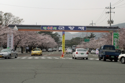 진해군항제