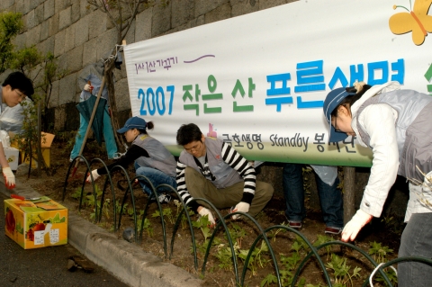 금호스탠바이봉사단 직원이 야생화를 식재하는 장면
