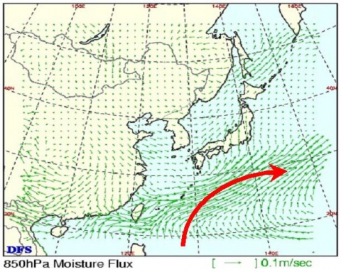 850hPa 수증기 플럭스 (4월 24일 12 UTC)
