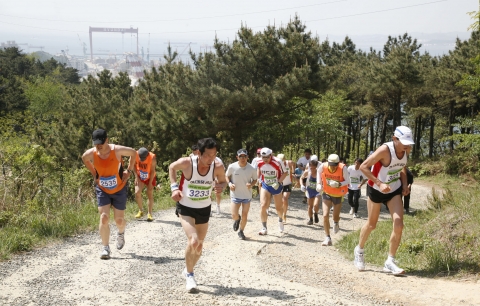 제 8회 울산-현대 전국 산악마라톤대회