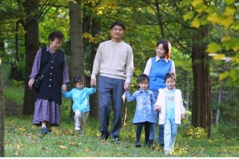 서울대공원 산림욕장 연중무휴 개장