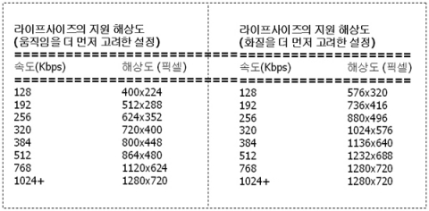 라이프사이즈의 대역폭에 따른 다양한 해상도 지원 - 48개의 해상도 중 일부 해상도