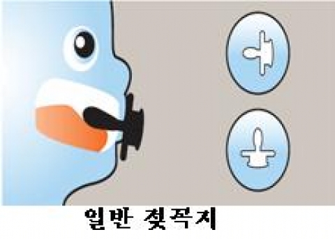일반 모조 젖꼭지
