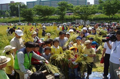 밀서리 체험