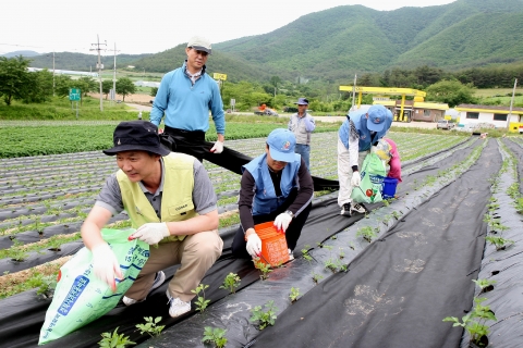 포항제철소 냉연부는 2일 죽장면 상옥리에서 일일 농촌 일손돕기 봉사활동을 펼쳤다.
