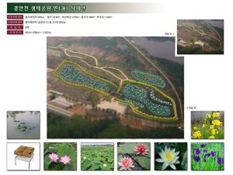 경안천 생태공원 내 습지 상태가 불량한 10,000㎡에 대해 약2억원을 투자해서 연꽃 및 창포 등을 부분 보식할 예정이다.
