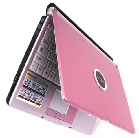 S262-458(Marguerite Rose Pink) 이미지