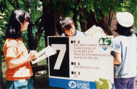 1988년 제1회 '그린캠프'