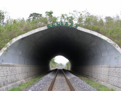 지난해 수해로 인해 무너져 내린 도라산역 인근 경의선철도 위 생태터널