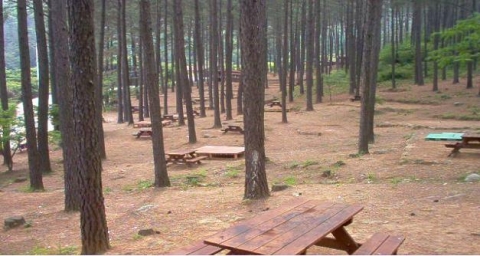 광양 백운산 휴양림 야영장 (광양시 옥룡면 추산리)