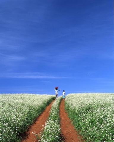 금상 : 희망(성세금)