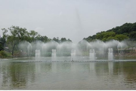 보라매공원 생태연못 2천㎡에 연꽃 활짝...음악분수와 함께 이색명소로 변신