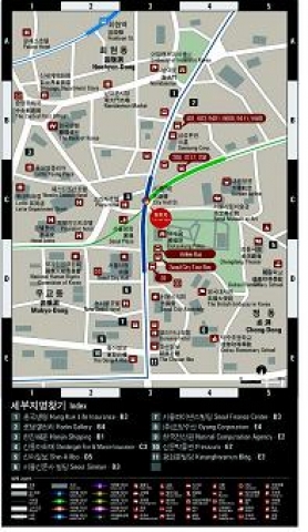 확대지도(Micro-Map)
