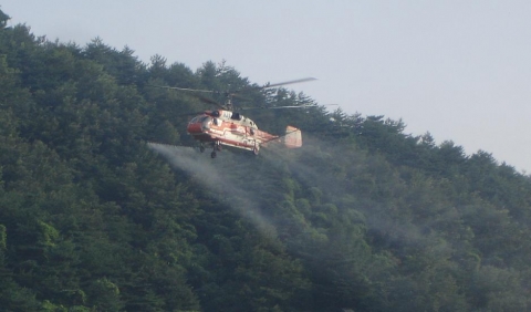 항공 방제 모습
