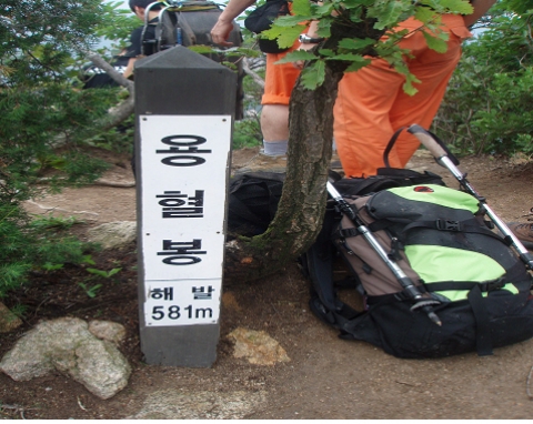 용혈봉 낙뢰사고 구조