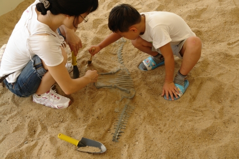 마침내 찾아낸 공룡뼈화석모형.