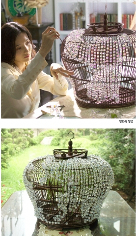<지금 사랑하는 사람과 살고 있습니까> 한채영 새장