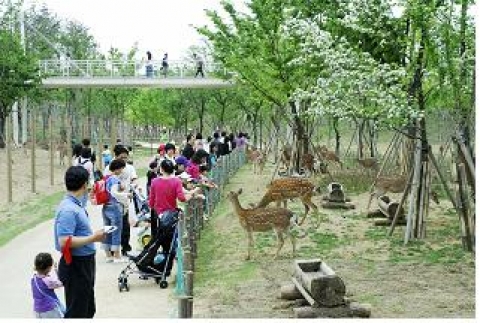 꽃사슴 먹이주기