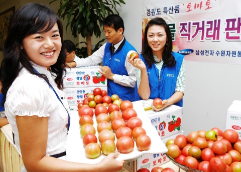 삼성전자가 강원도 토마토 생산농가를 돕기 위해 14일부터 20일까지 수원사업장에서 '강원도 토마토 직거래 장터'를 열고 강원도 정선군 여량 농협으로부터 공급받은 