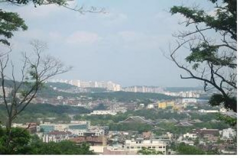 사직동 산1-10(사직근린공원)