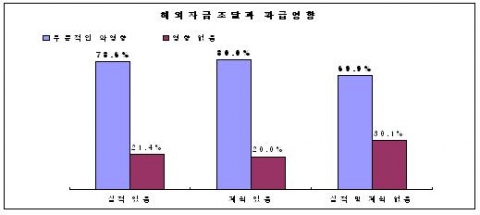 해외자금조달과 파급영향
