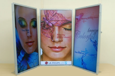 triple view display