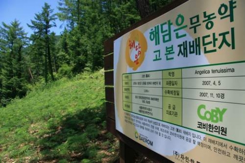 동강 친환경 단지에서 재배중인 약재 (공급의료기관: 코비한의원) 
- 지정 관리자를 두고 파경일자, 수확예정일, 제조과정 등을 투명하게 공개, 관리하고 있다 
