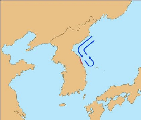 <동해안 물개의 이동경로 예측>