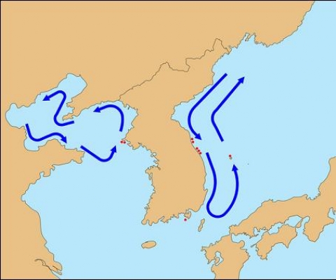 <백령도 및 동해안 물범의 이동경로>