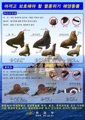 혼획 해양포유류 식별용 포스터