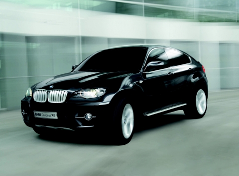 BMW 컨셉 X6