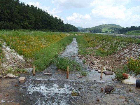 식지천 개수공사 준공 모습