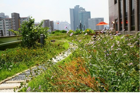 서부지방법원 준공사진(2006년 대상지)
공사 후 - 야생화가 피어있는 옥상공원 전경