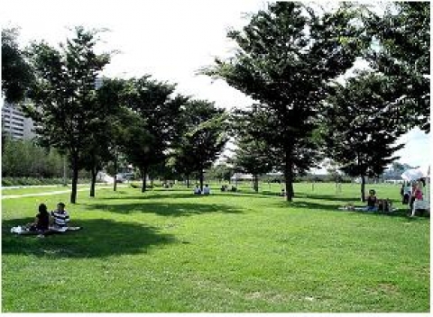 한강공원 잔디밭이 활~짝 열린다